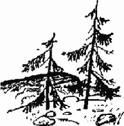 Обложка В горах