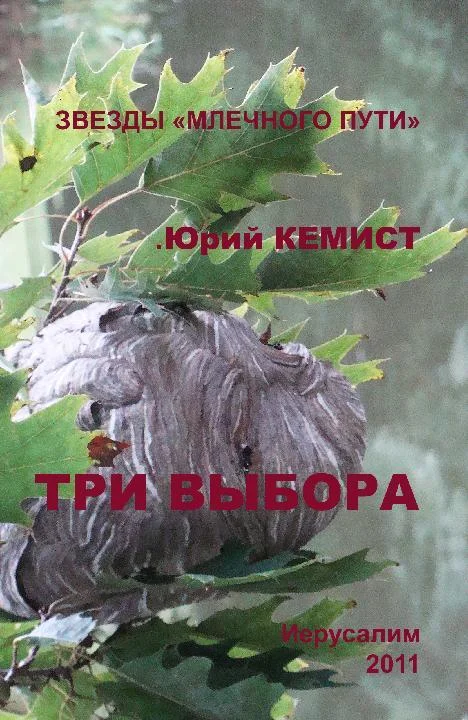 Обложка Три выбора