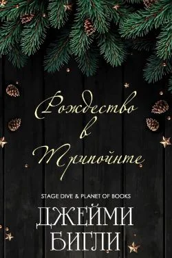 Обложка Рождество в Трипойнте
