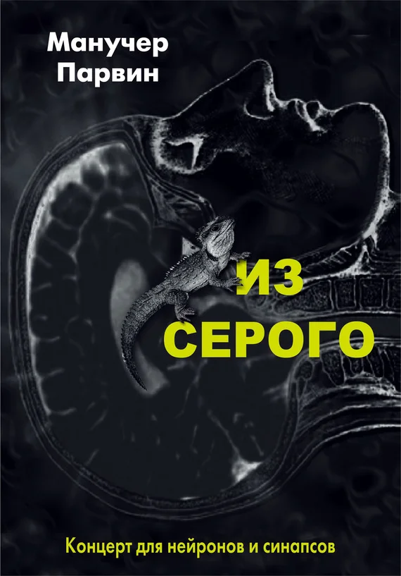 Обложка Из серого. Концерт для нейронов и синапсов