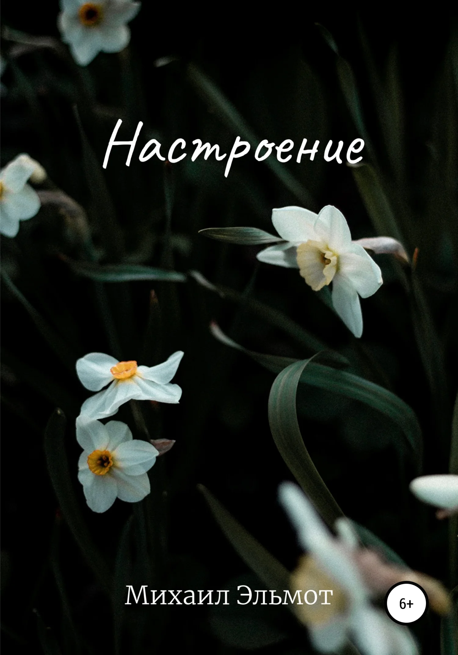 Обложка Настроение