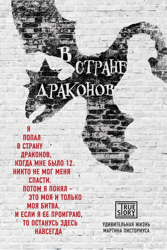 Обложка В стране драконов
