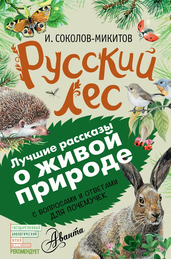 Обложка Русский лес