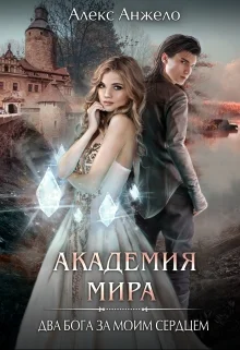 Обложка Академия Мира. Два Бога за моим сердцем