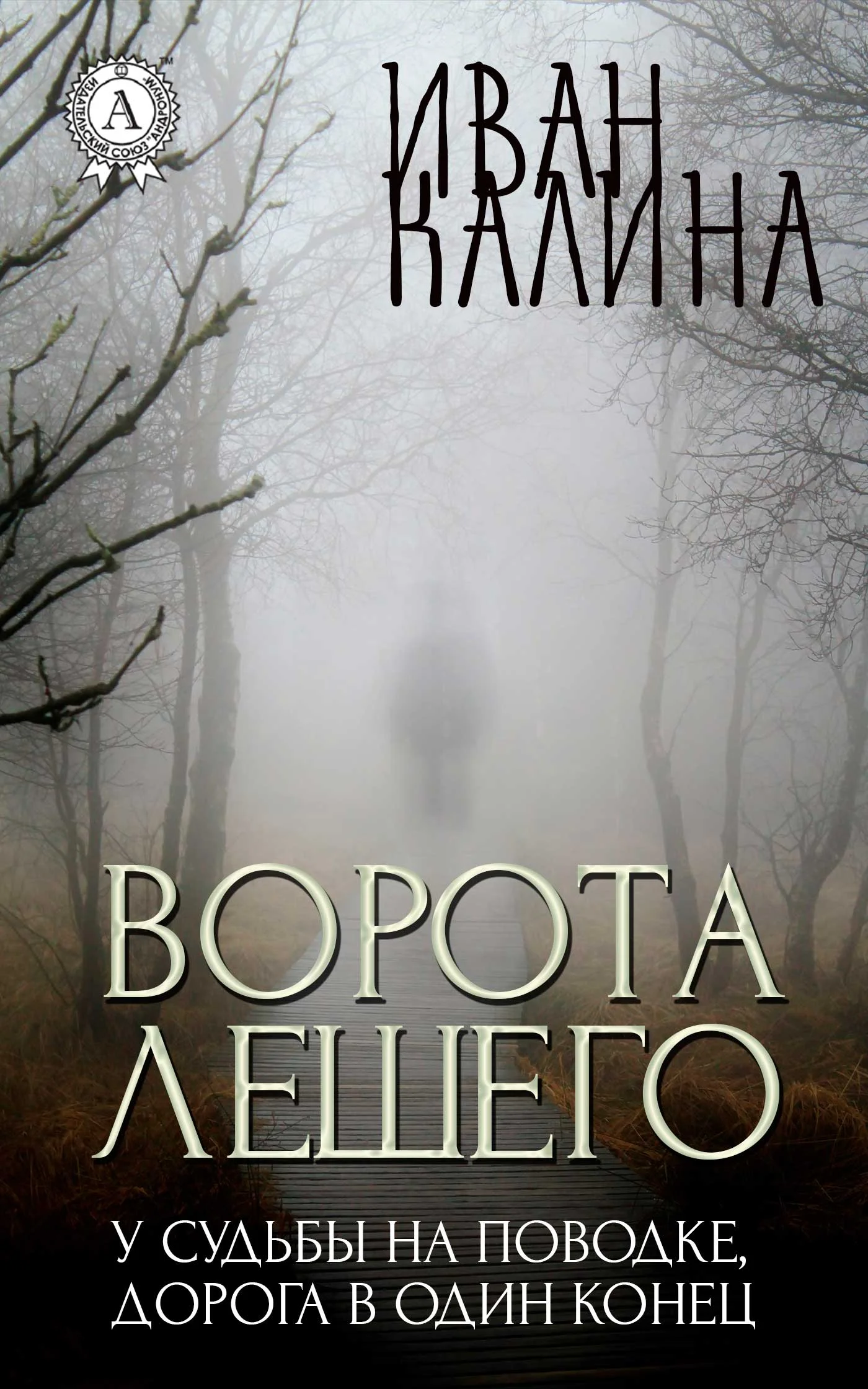 Обложка Ворота Лешего