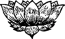 Обложка Жизнь и Путь