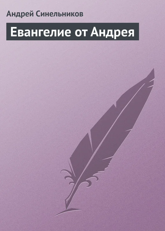 Обложка Евангелие от Андрея