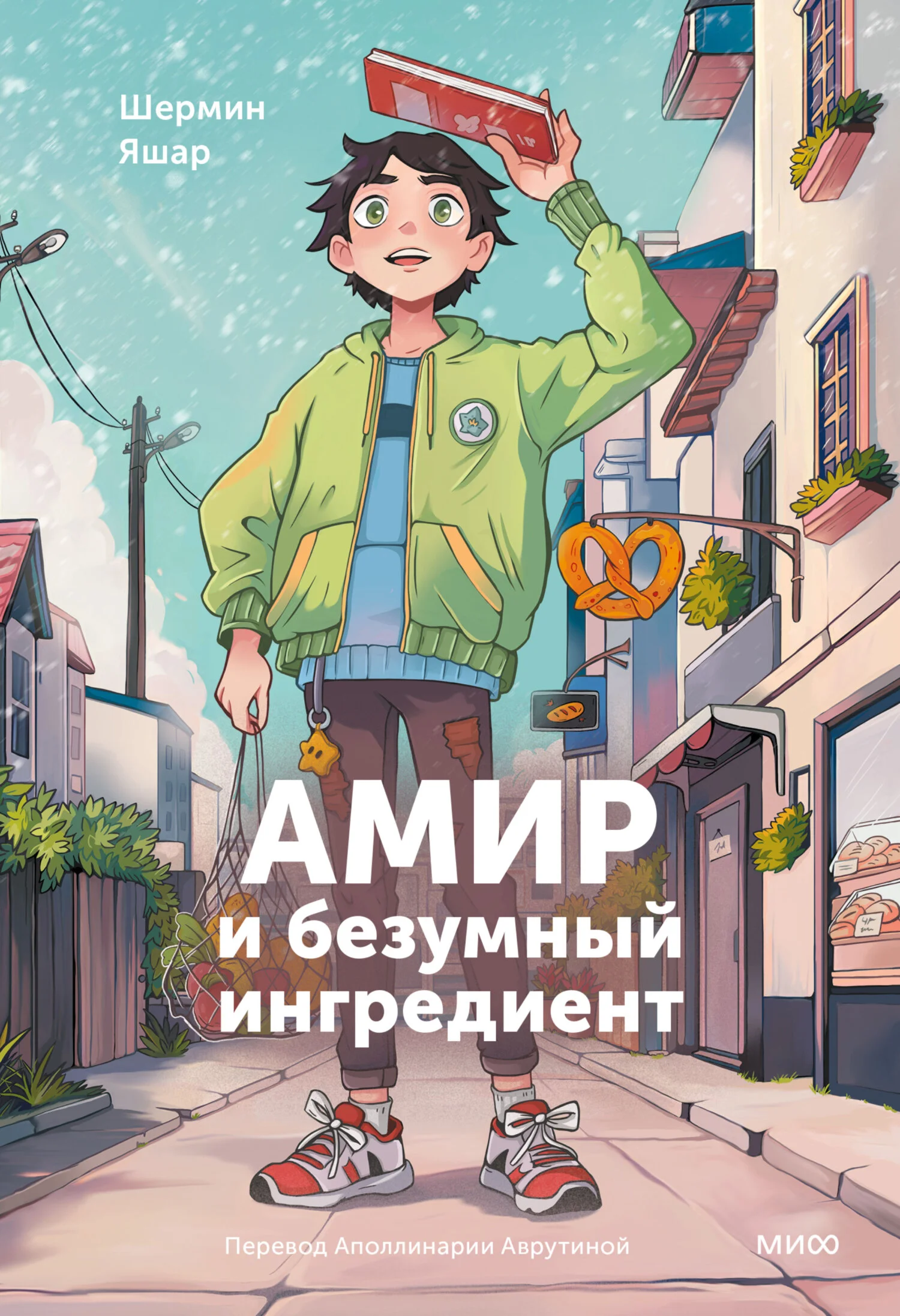 Обложка Амир и безумный ингредиент