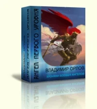 Обложка Ангел первого уровня