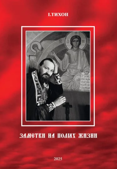 Обложка Заметки на полях жизни