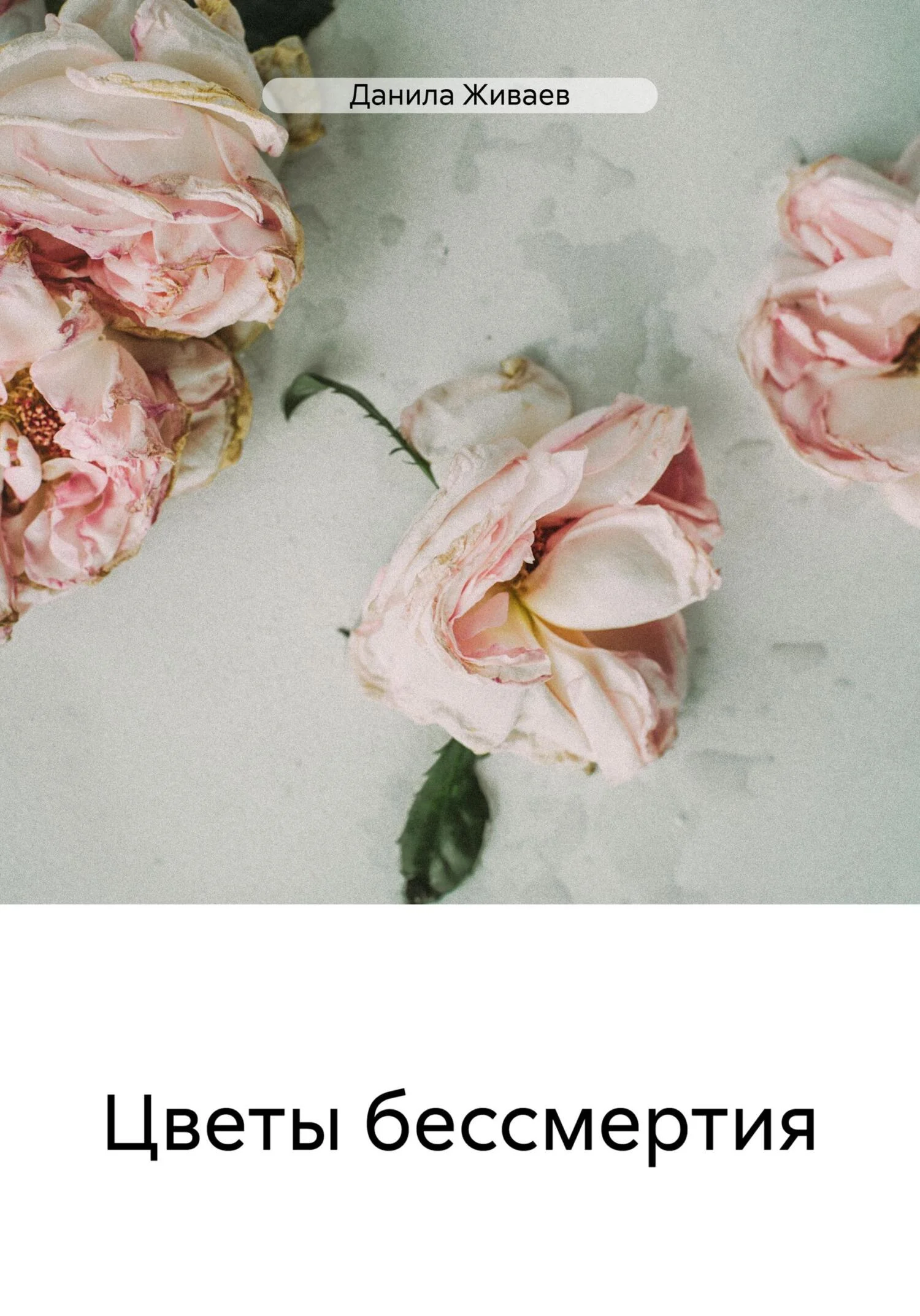 Обложка Цветы бессмертия