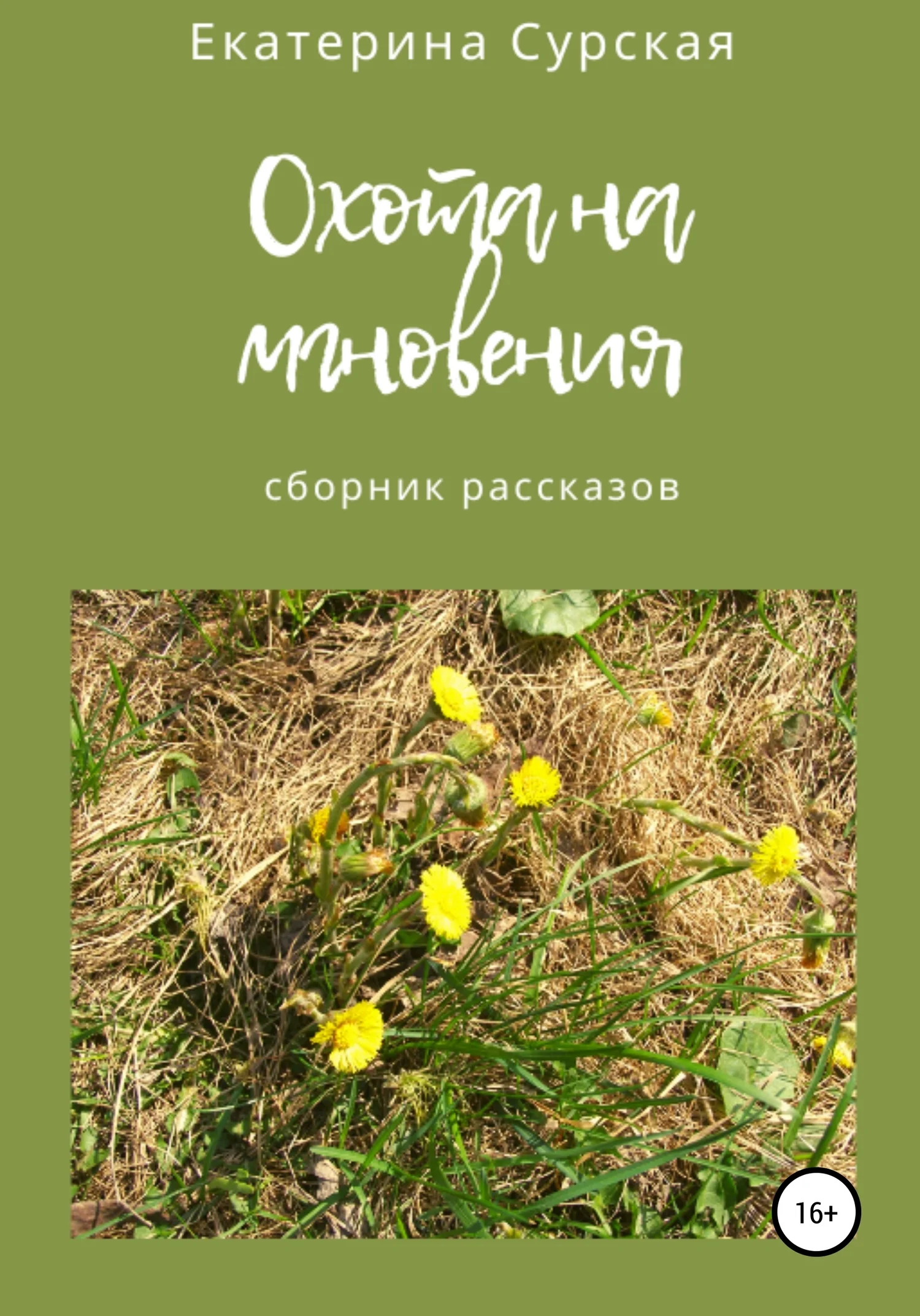 Обложка Охота на мгновения. Сборник рассказов
