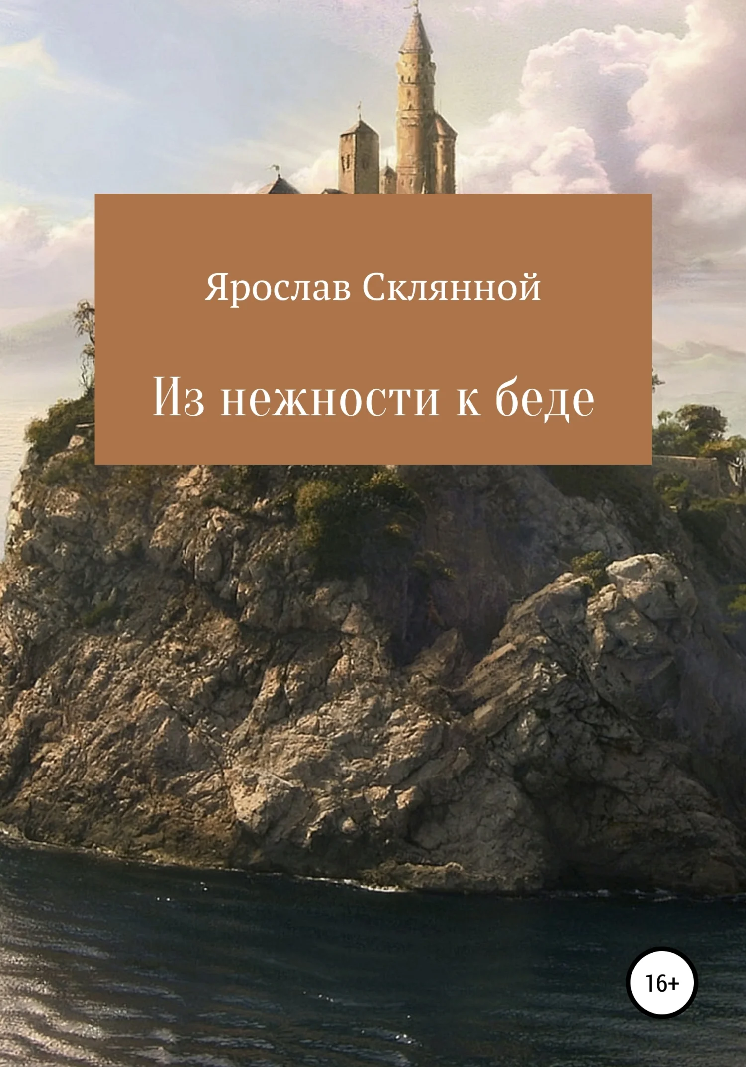 Обложка Из нежности к беде