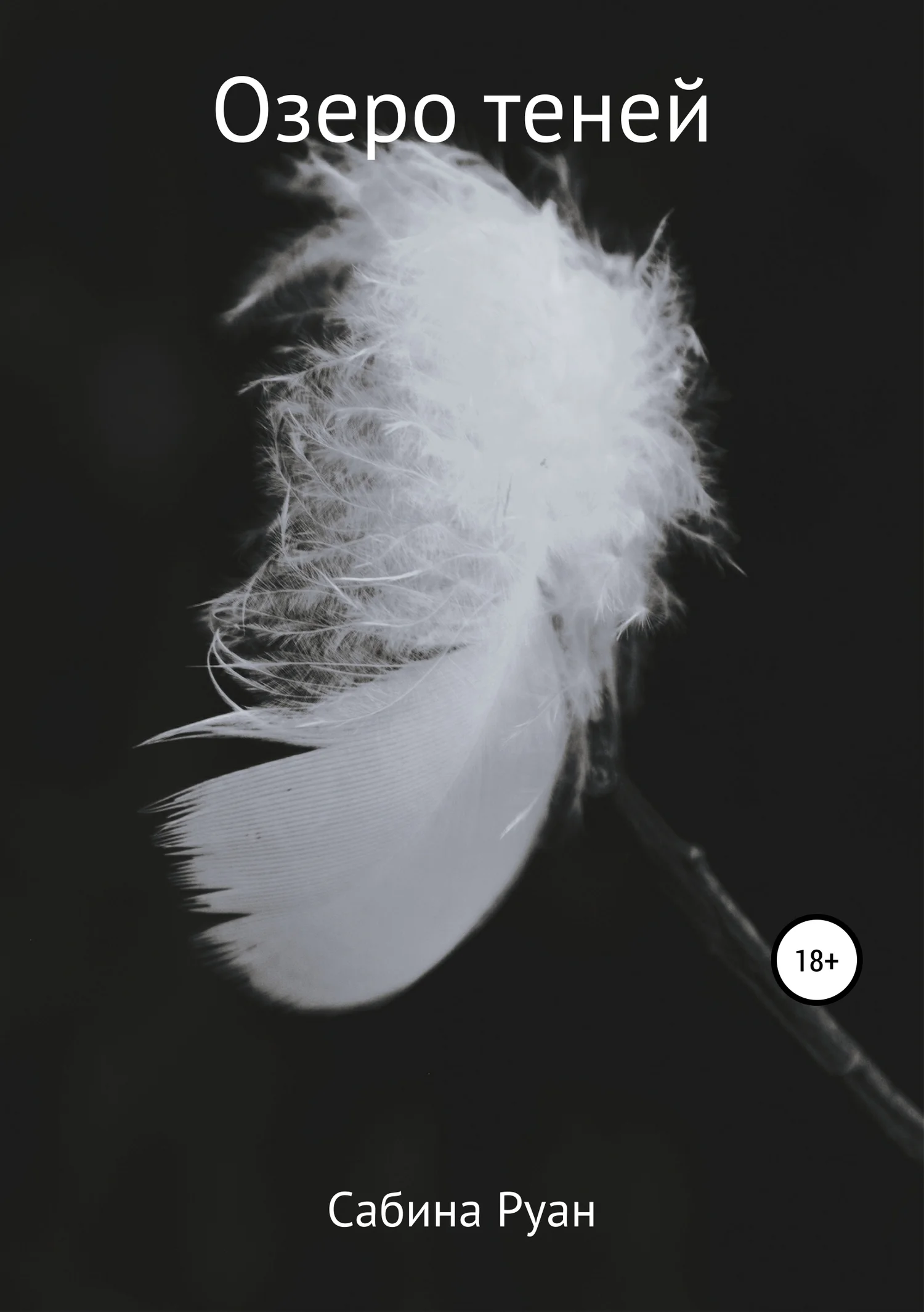 Обложка Озеро теней