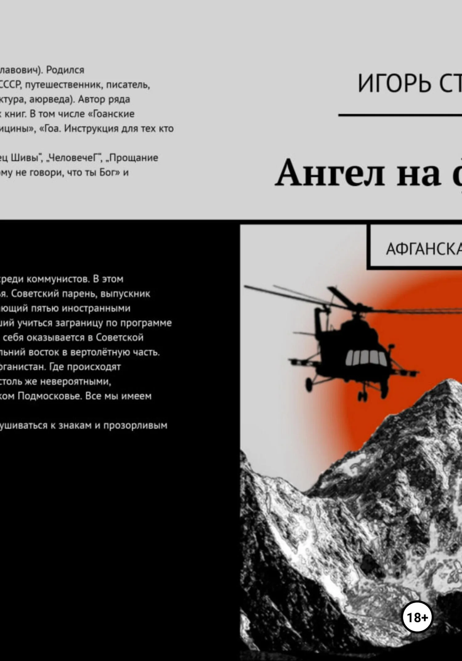 Обложка Ангел на фюзеляже