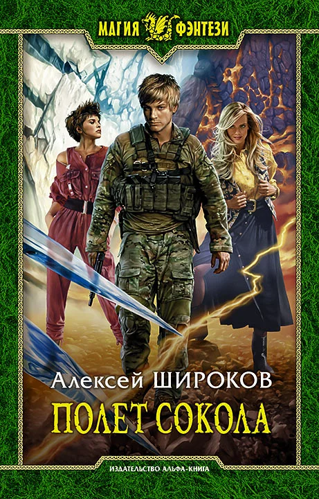 Обложка Полет сокола