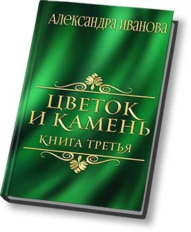 Обложка Цветок и камень 3