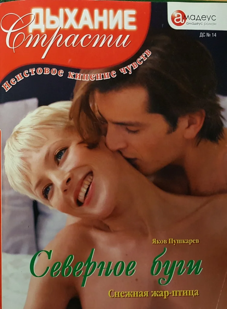 Обложка Северное буги