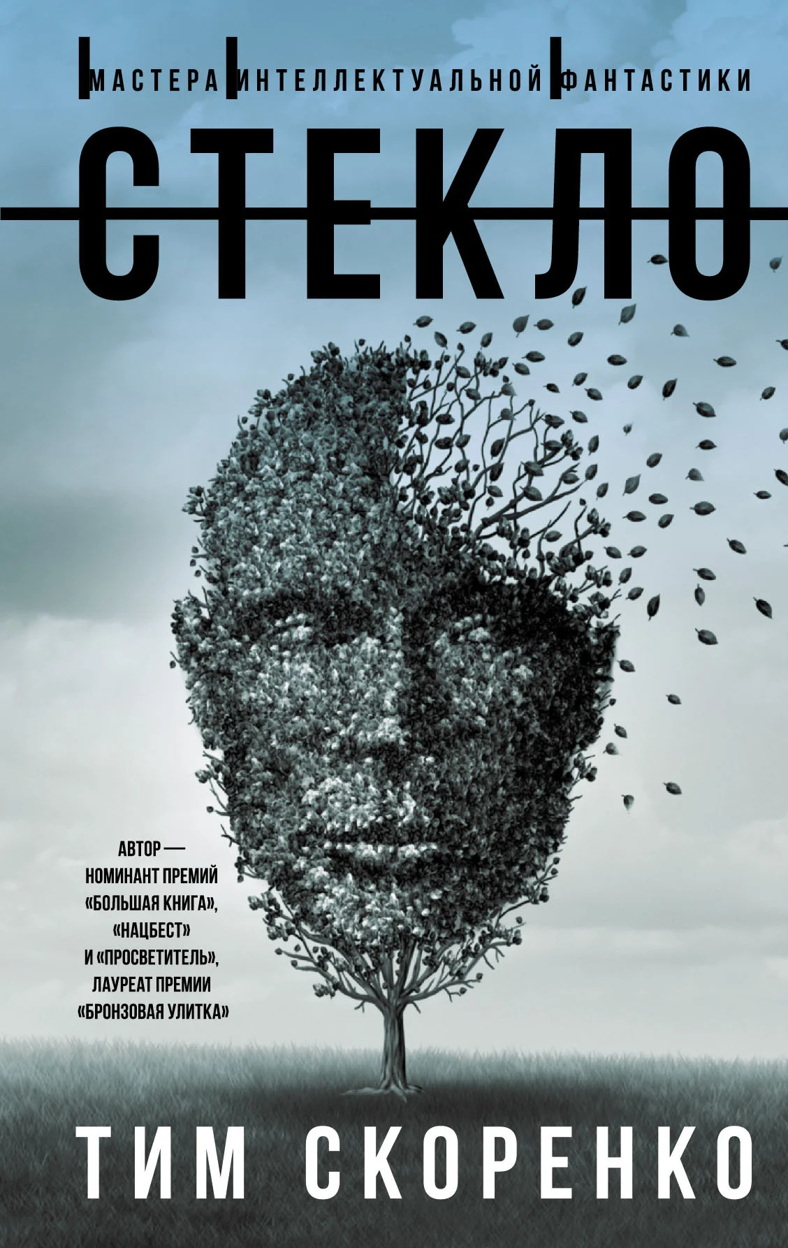 Обложка Стекло