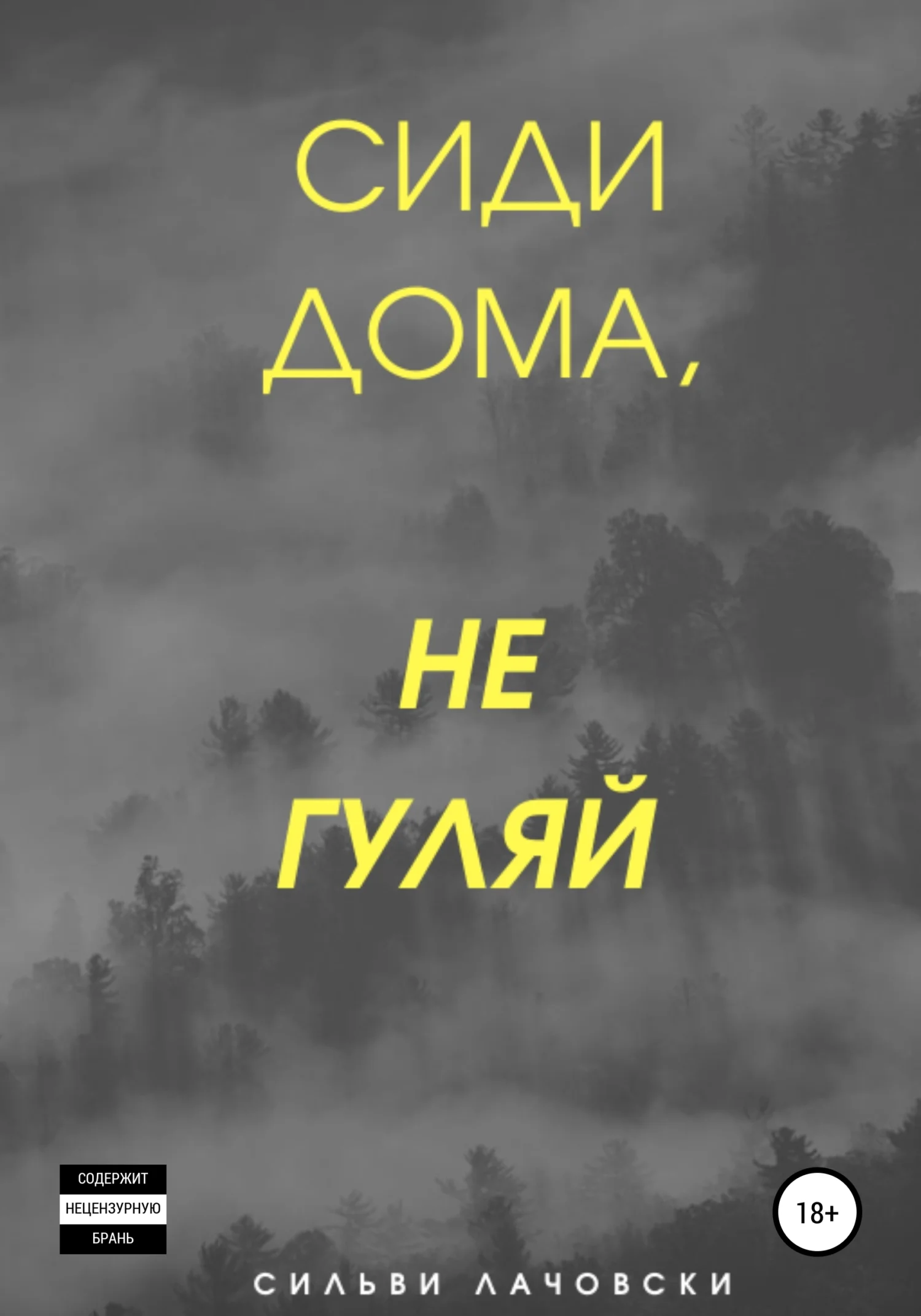 Обложка Сиди дома, не гуляй