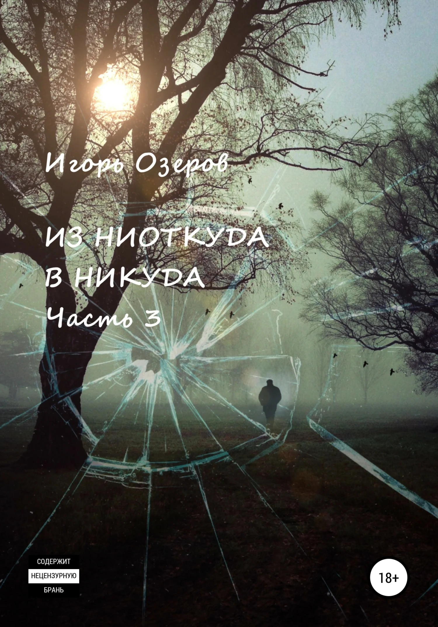 Обложка Из ниоткуда в никуда. Часть 3