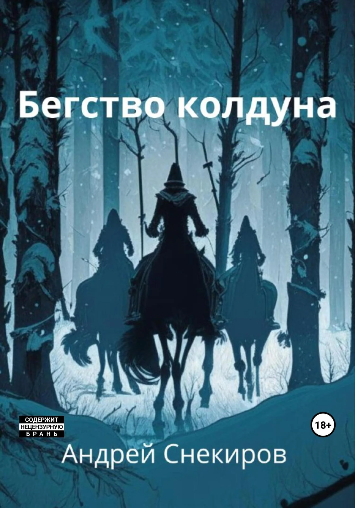 Обложка Бегство колдуна