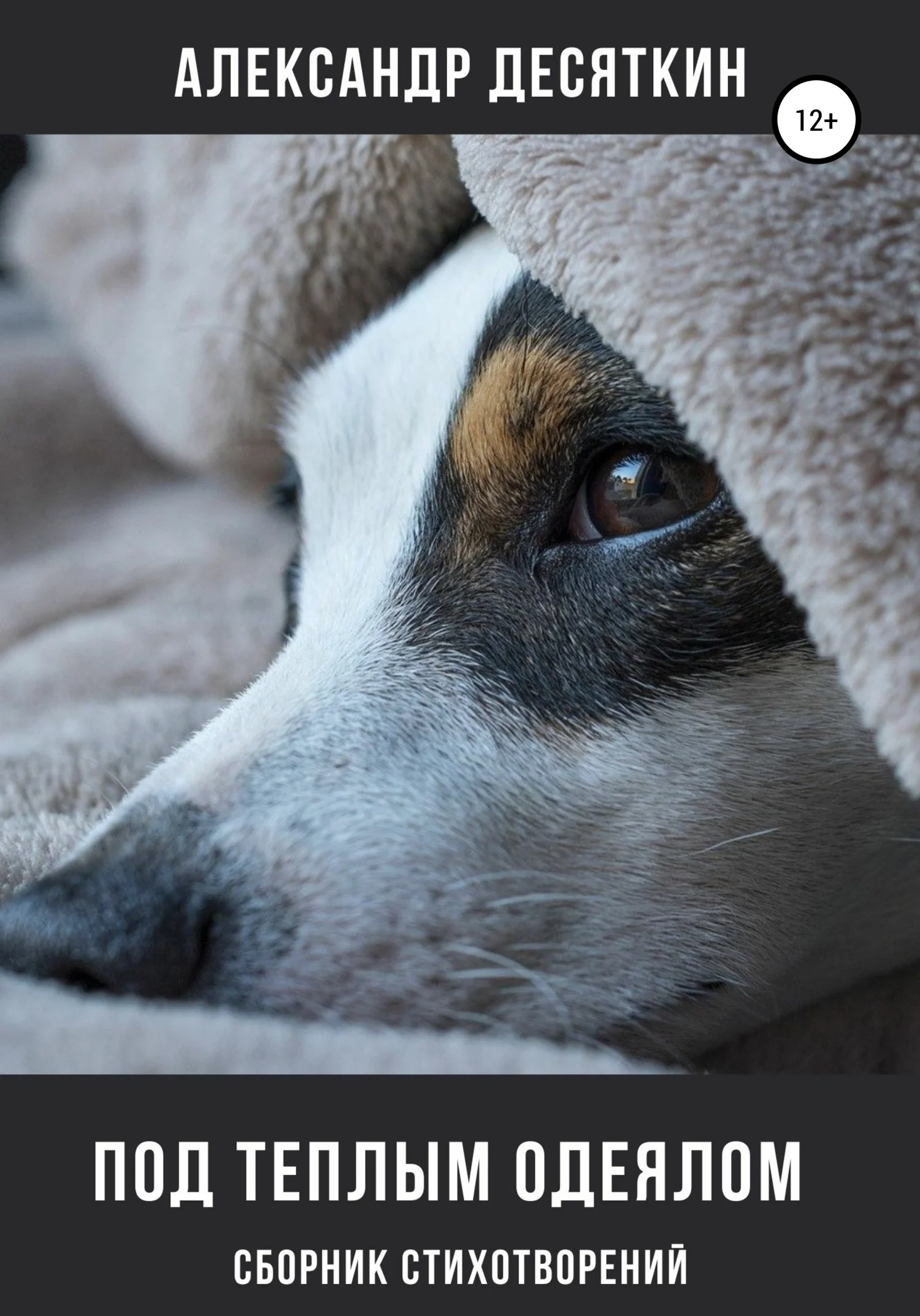 Обложка Под теплым одеялом