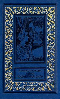 Обложка Похищение из провинциального музея
