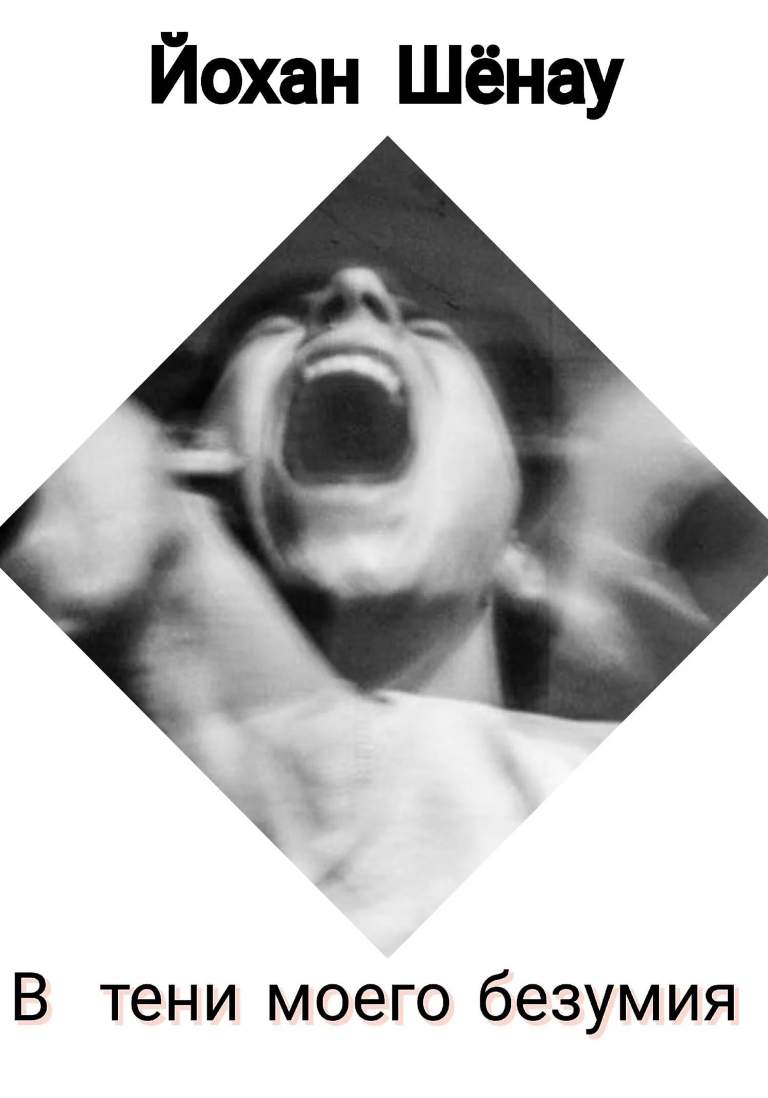 Обложка В тени моего безумия