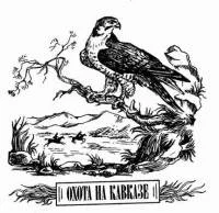 Обложка Охота на Кавказе