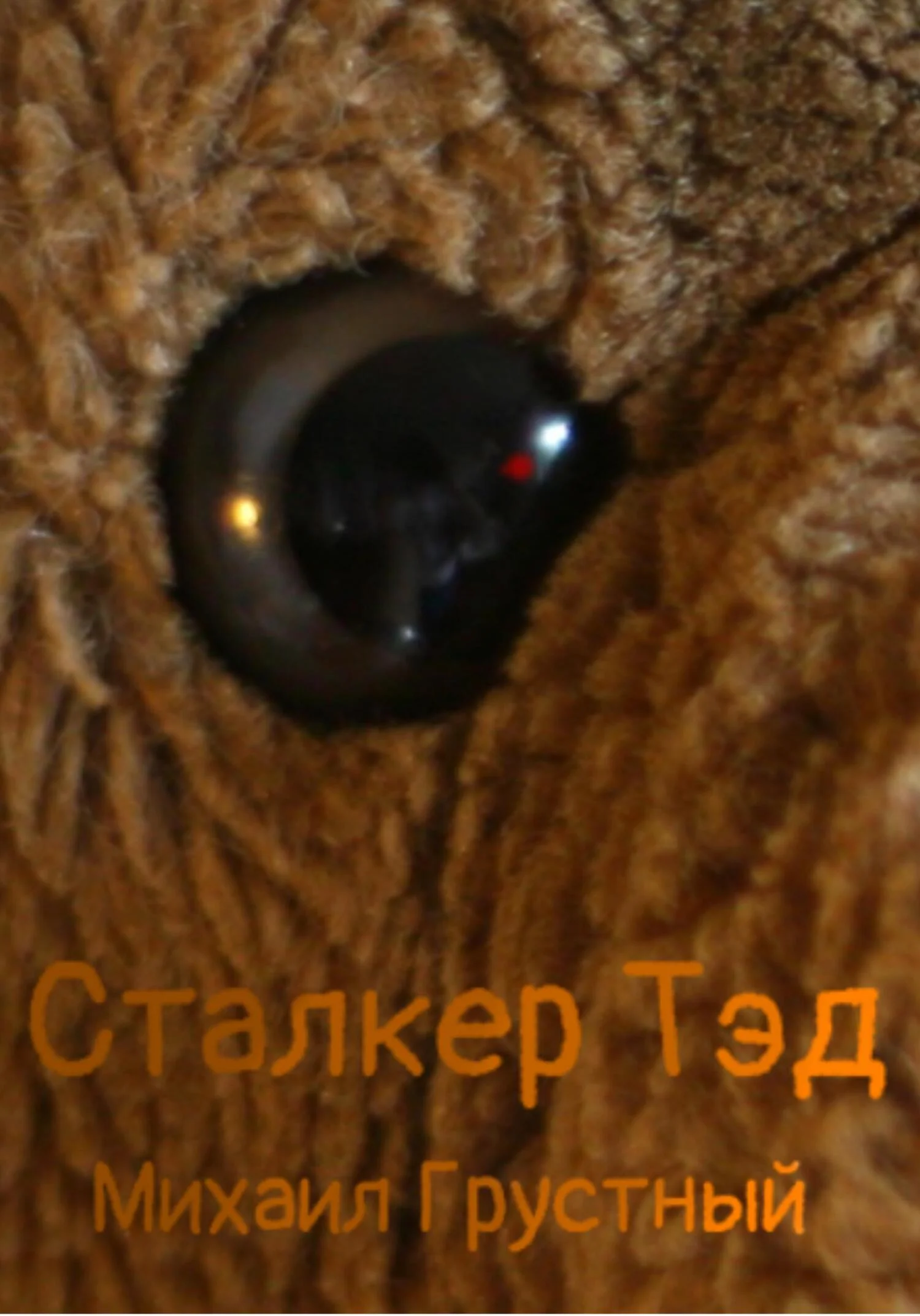 Обложка Сталкер Тэд