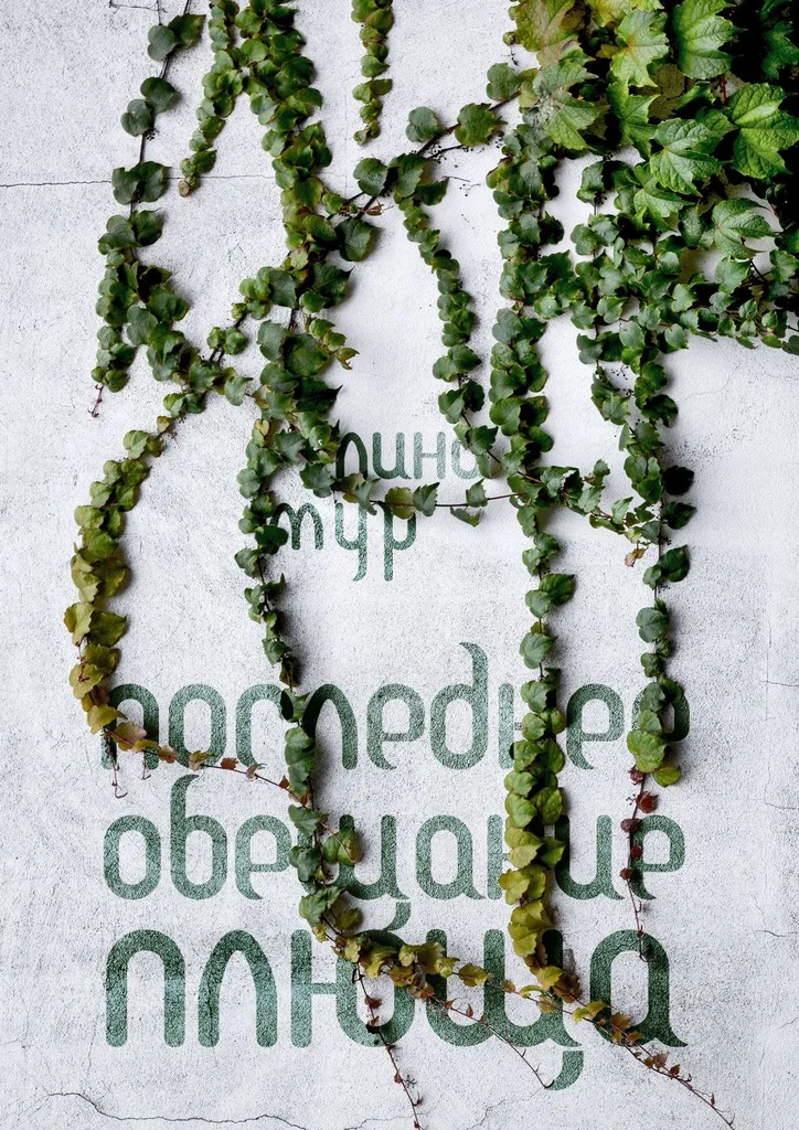 Обложка Последнее обещание плюща