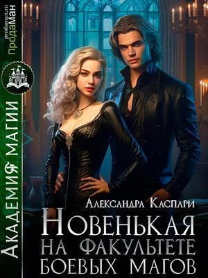 Обложка Новенькая на факультете боевых магов (СИ)