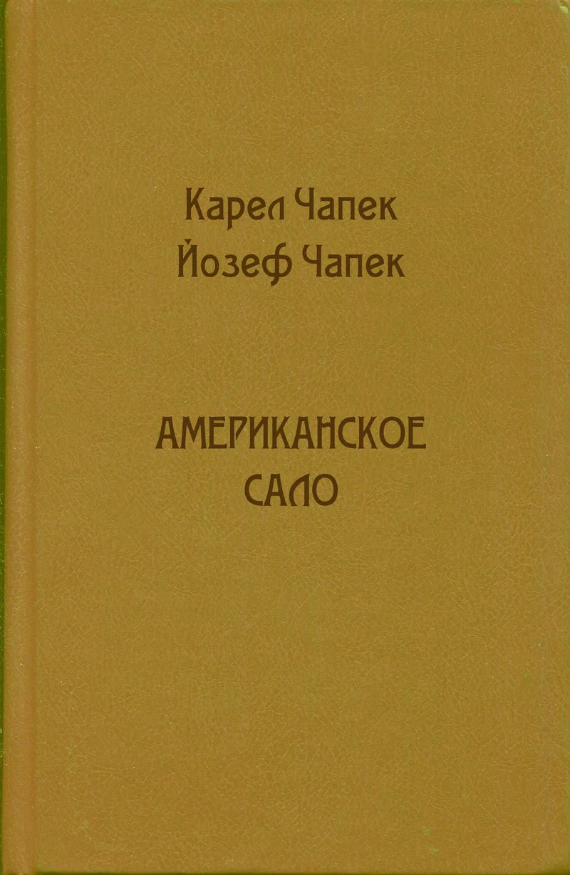 Обложка Американское сало