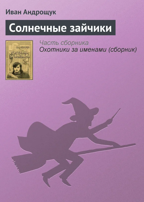 Обложка Солнечные зайчики