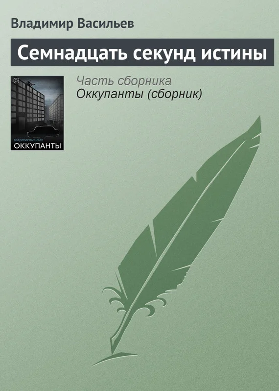 Обложка Семнадцать секунд истины