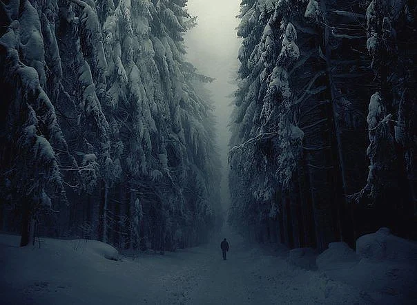 Обложка Форточка в «Счастье»