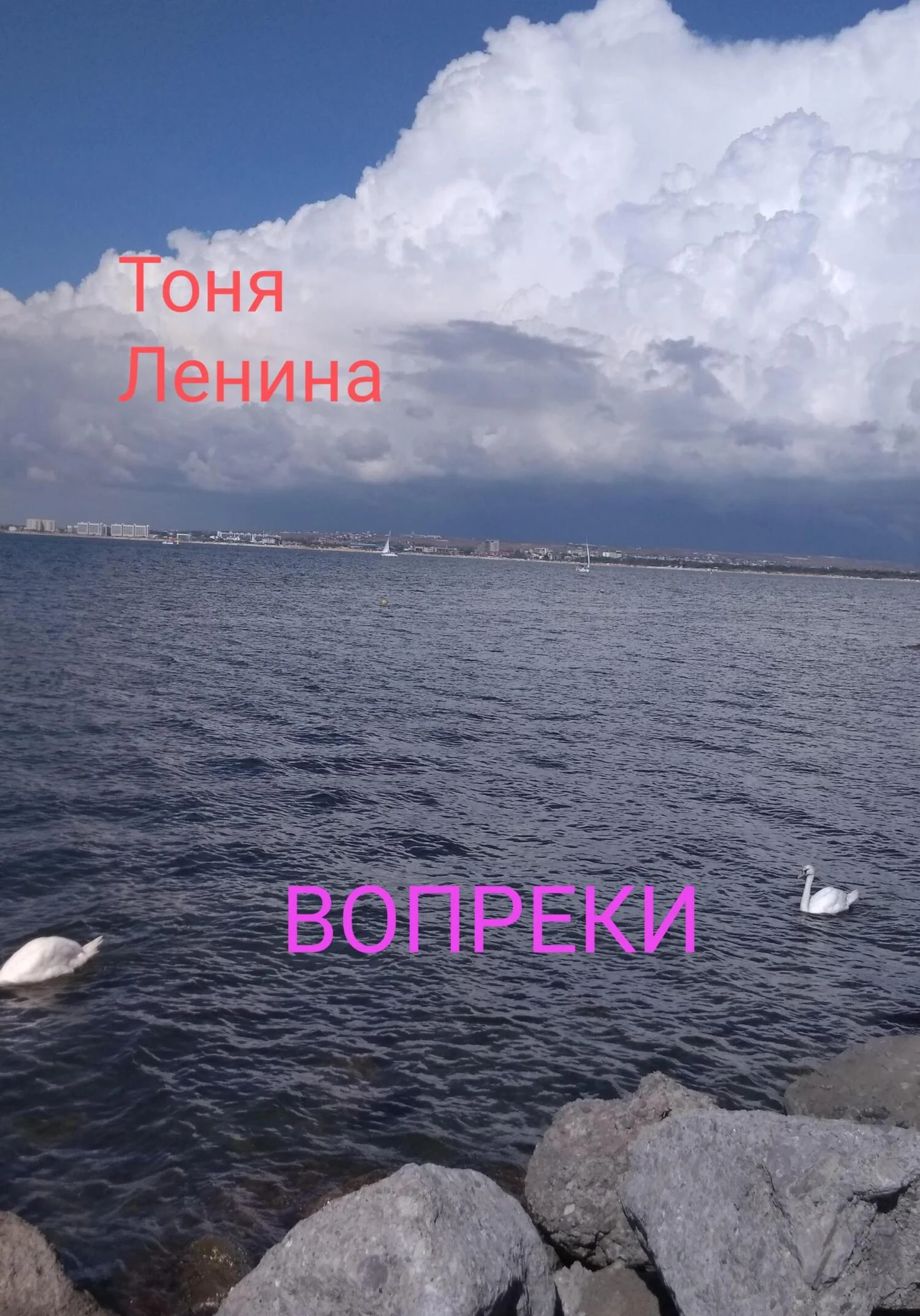Обложка Вопреки