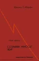 Обложка Сознание наносит удар. Евангелие от Рамеша