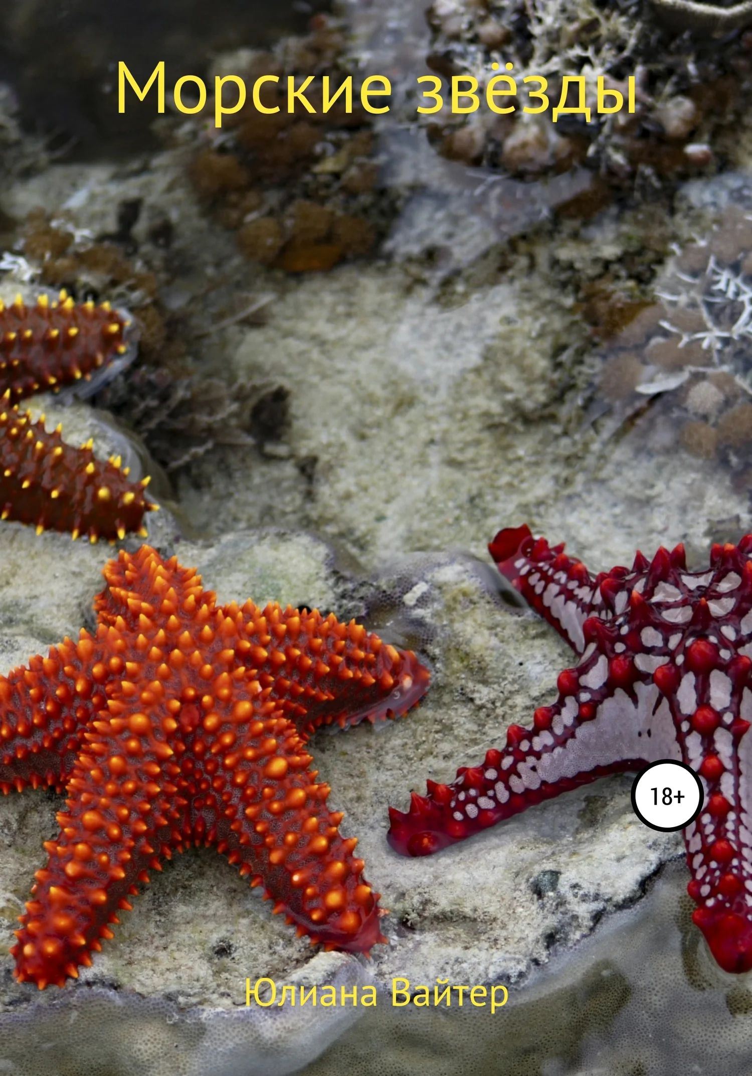 Обложка Морские звёзды