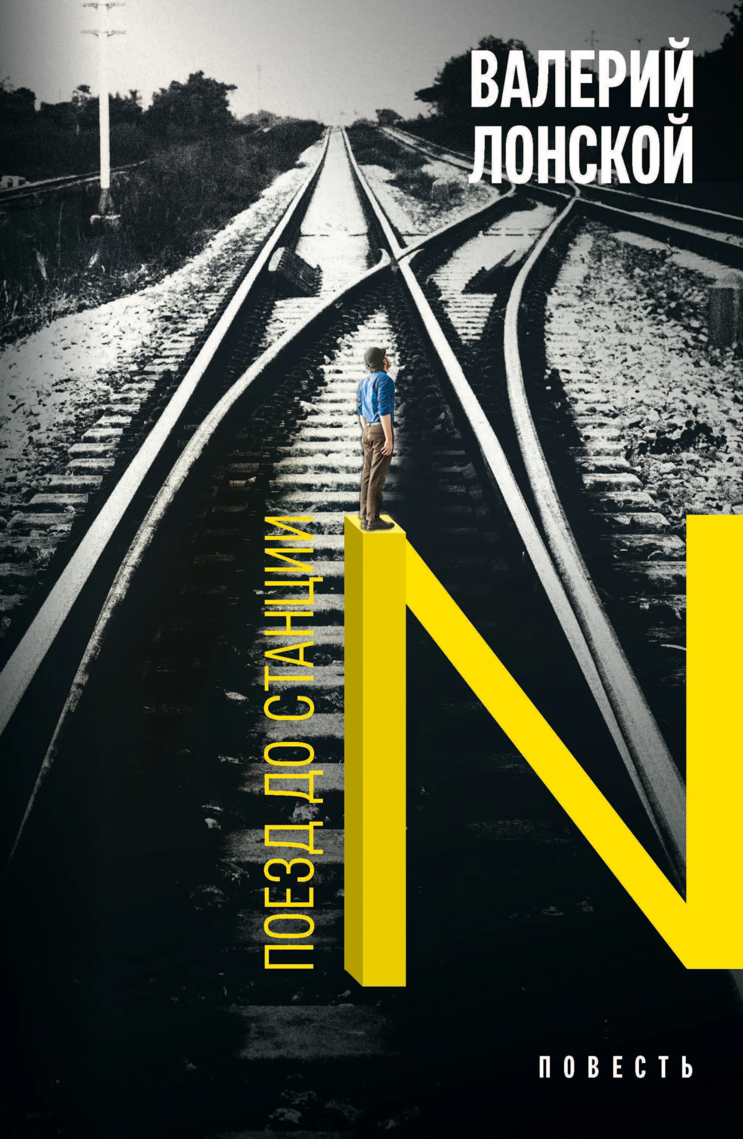 Обложка Поезд до станции N. Хроника одной поездки