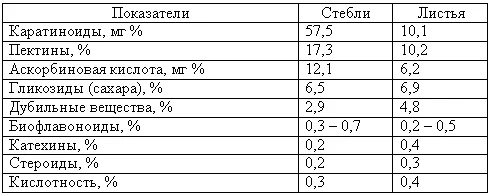 Обложка Золотой ус и целлюлит