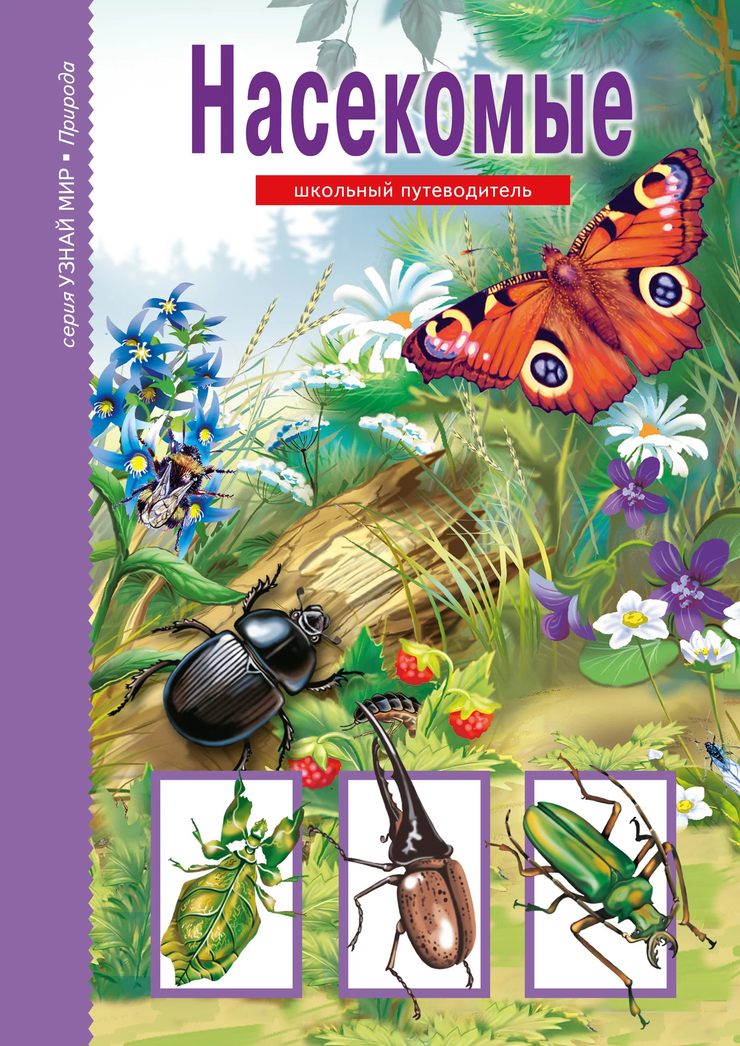 Обложка Насекомые