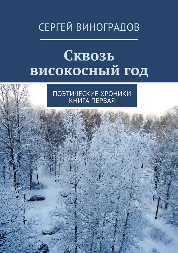 Обложка Сквозь високосный год