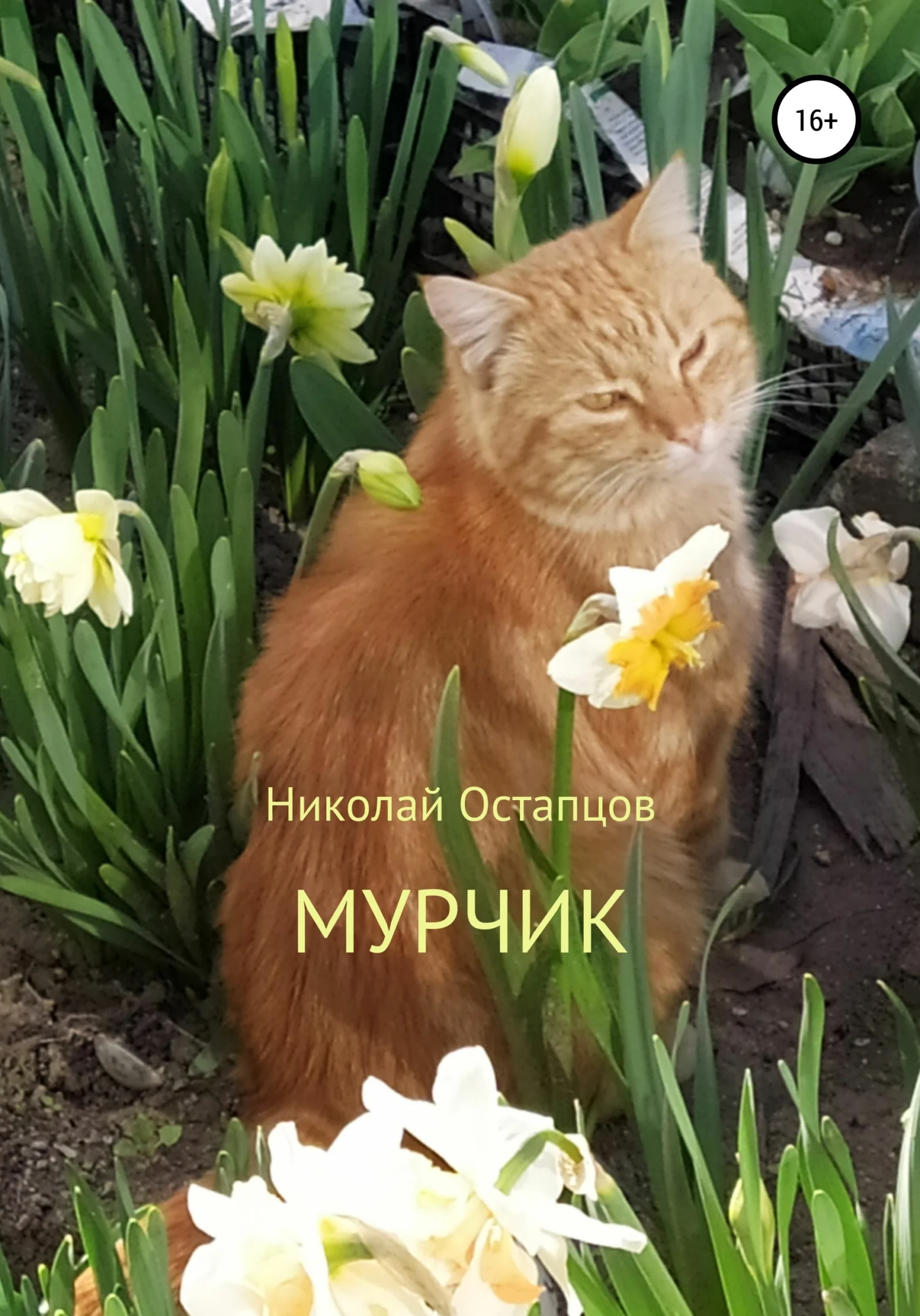 Обложка Мурчик