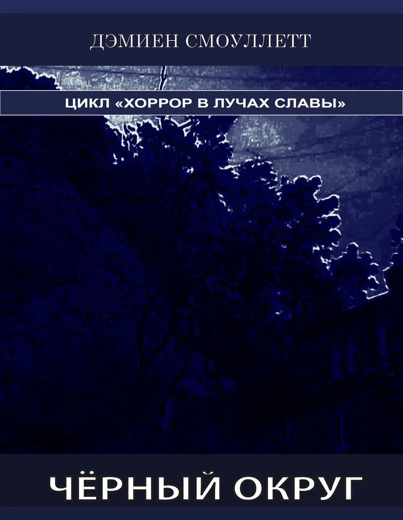 Обложка Чёрный Округ (СИ)