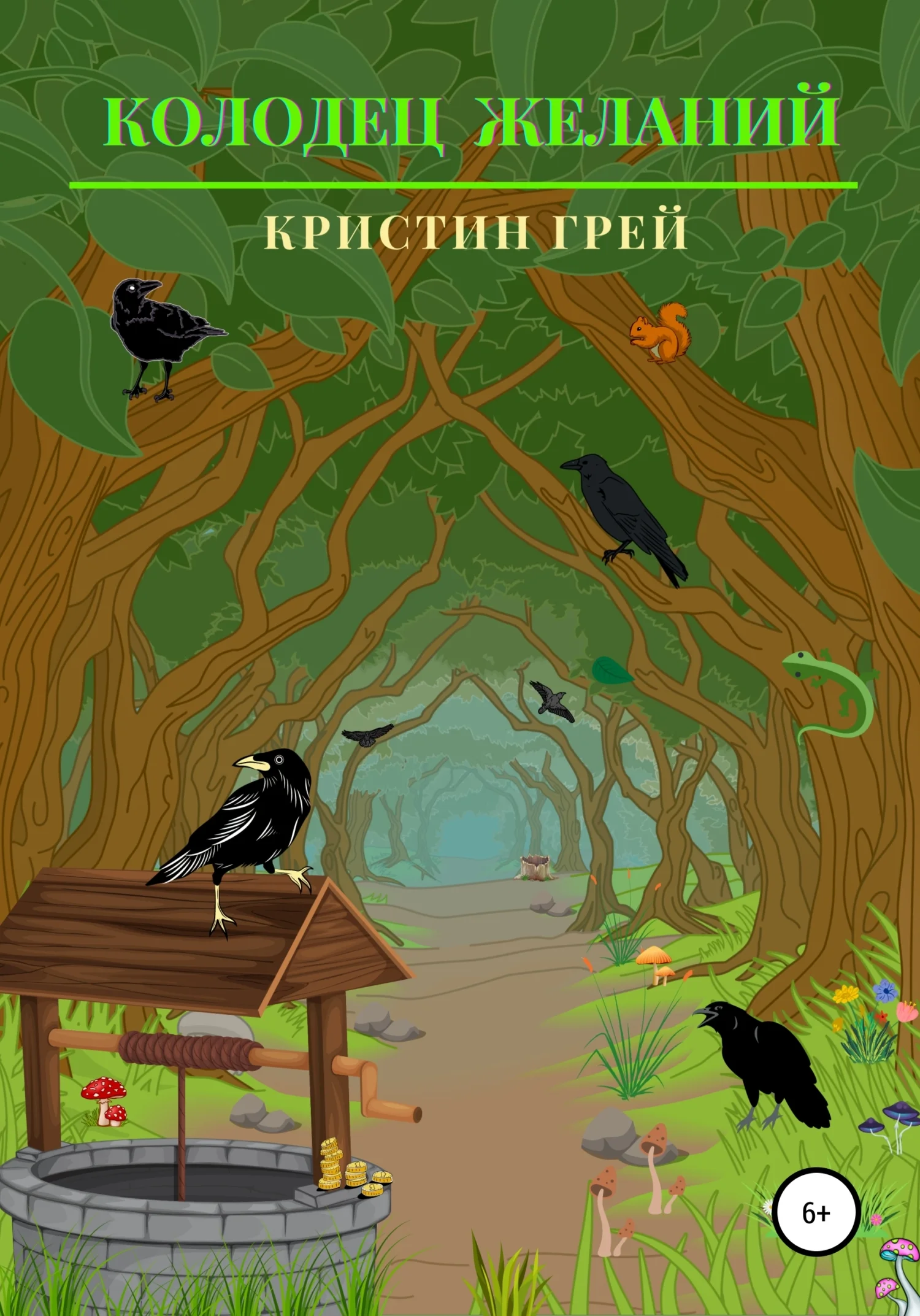 Обложка Колодец желаний