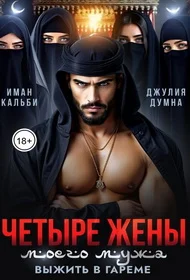 Обложка Четыре жены моего мужа. Выжить в гареме