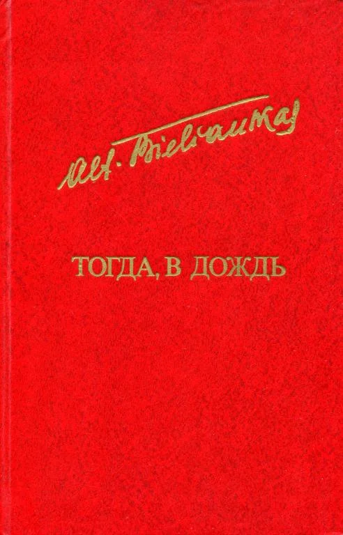 Обложка Тогда, в дождь