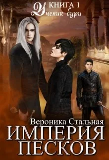 Обложка Ученик бури